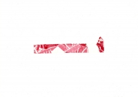 3_13redtape.jpg